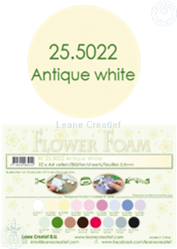 Afbeeldingen van Flower foam A4 sheet antique white
