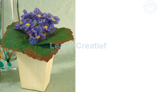 Afbeelding van LeCreaDesign® Bladgroen pakket "begonia"