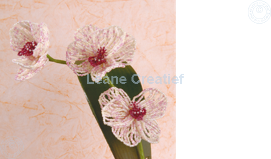 Image sur LeCreaDesign® Paquets de feuilles "phalaenopsis"