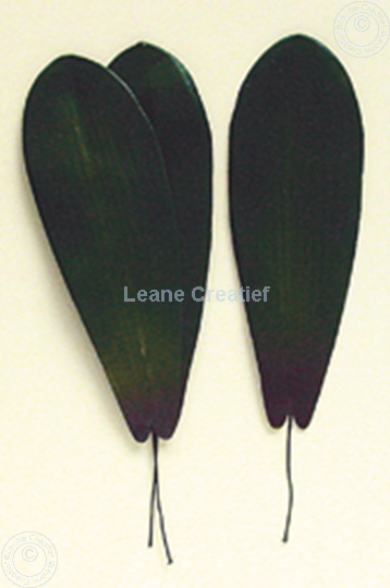 Image sur LeCreaDesign® Paquets de feuilles "phalaenopsis"