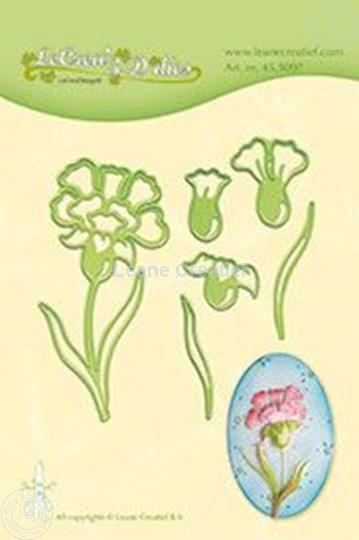 Picture of Carnation