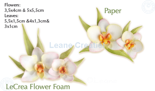Bild von Lea'bilitie Multi die Flower 012 Orchid