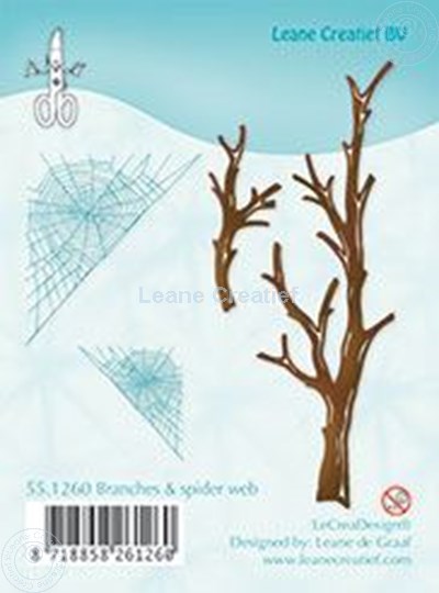 Afbeelding van Branches & spider web