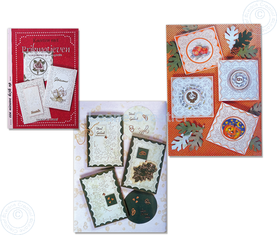 Picture of Paper lacing cards (Dutch)